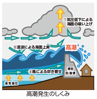 高潮についての画像1