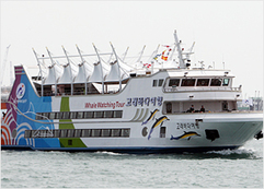 クジラ海旅行船の画像