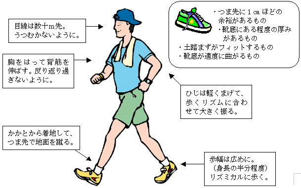 足にあった靴、正しいフォームのイラスト