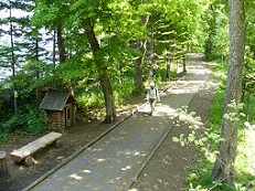 こまば木の広場の写真です