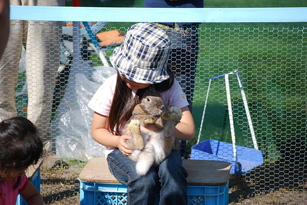 ふれあいどうぶつえんのようすの画像1