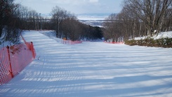 第5コースの画像
