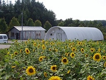 自然氷利用長期野菜貯蔵施設（氷室）の画像