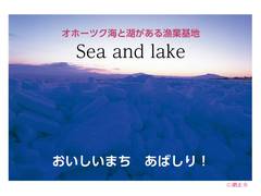 食の「味」（農産物・水産物等）の画像