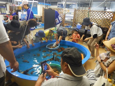 タッチプールの画像