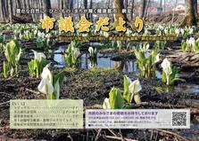 市議会だより令和3年5月号の画像