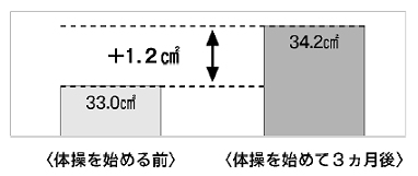 筋肉（内転筋群）の断面積の変化の画像