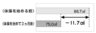 内臓脂肪