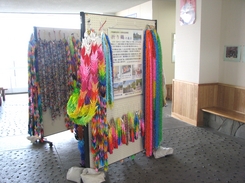 展示の様子の画像1