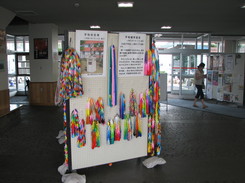 展示の様子の画像2