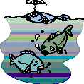 排水で魚たちが苦しむ画像