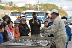 産業 （鮭の水揚げ見学）の画像