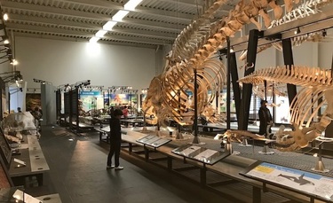 2019年 美術館友の会鑑賞旅行​​の画像4