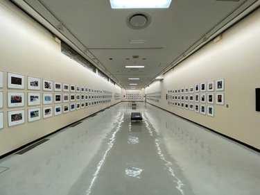 4面すべて写真ですの画像