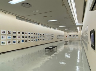 全部で306点の画像