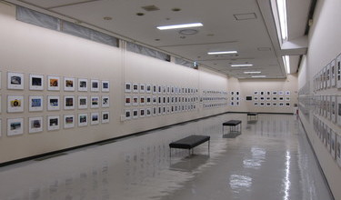 令和5年1月15日（日曜日）まで開催しています。の画像