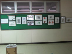 網走小学校の画像