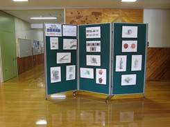 呼人小中学校の画像