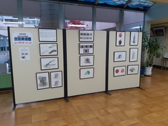 第二中学校の画像
