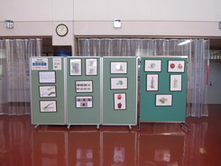 第四中学校の画像