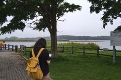 札幌大谷大学芸術学部美術学科の皆さんが見学の画像3