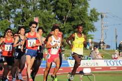 男子 5000m(1)の画像