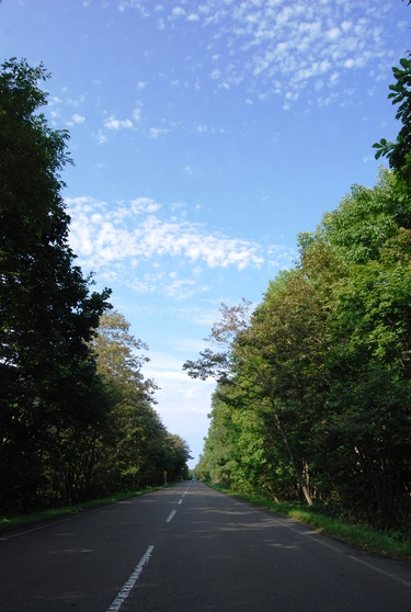 美岬コース1（地図Bポイント付近）の画像