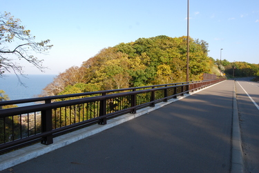 向陽周回コース1（地図Bポイント）の画像