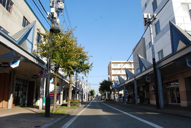ハーフマラソンコース1 （地図Aポイント）スタート地点の画像