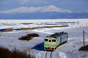基本目標5の画像1