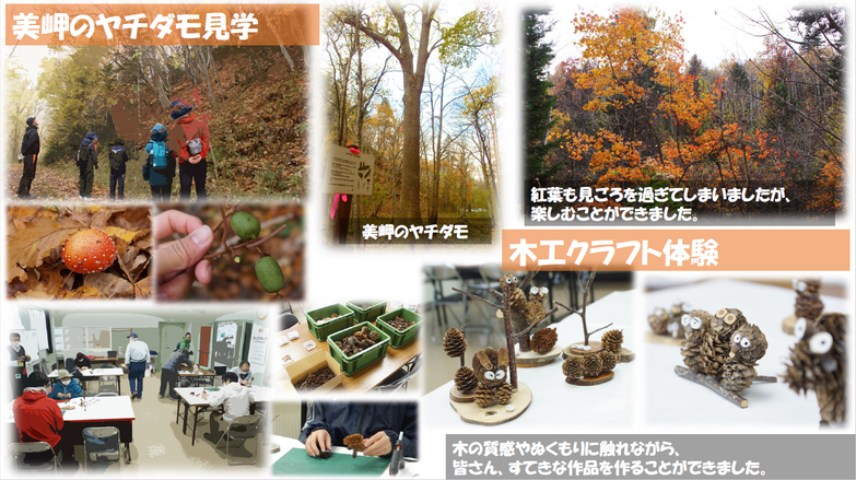 令和2年度木育推進事業 『美岬のヤチダモ見学＆木工クラフト体験会』の画像