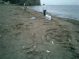 鮭不法投棄現場写真の画像1