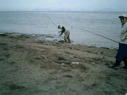 鮭不法投棄現場写真の画像2