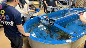 カニ釣り