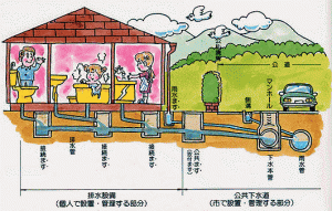 排水設備と公共下水道の区分がわかる画像