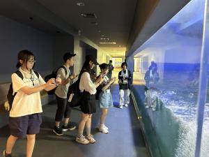 宮島水族館での様子