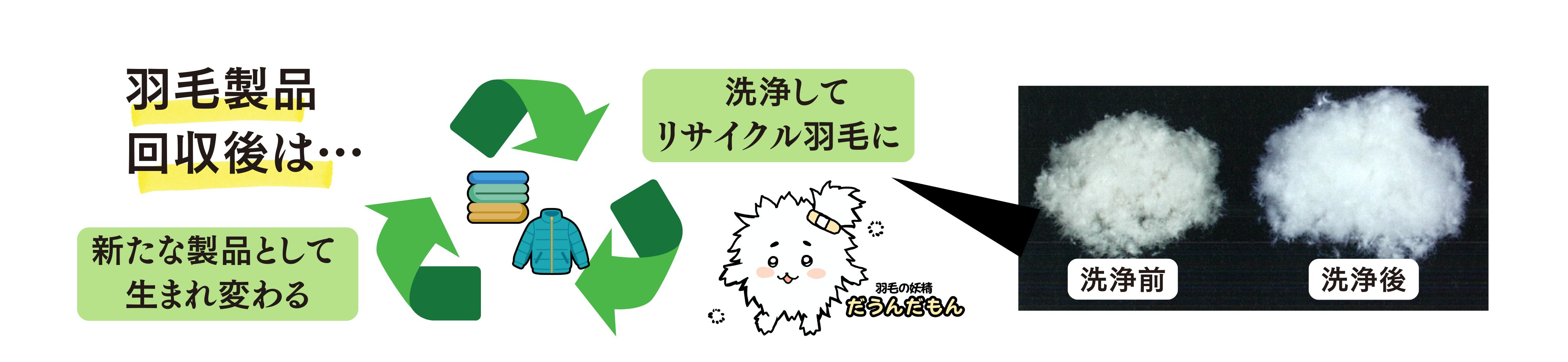 羽毛リサイクルフロー