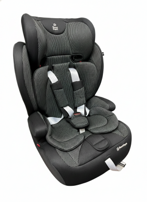 幼児用タイプのチャイルドシートの写真