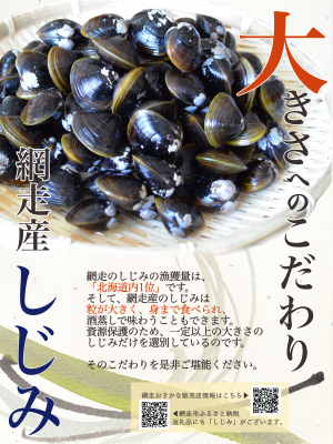 しじみチラシ