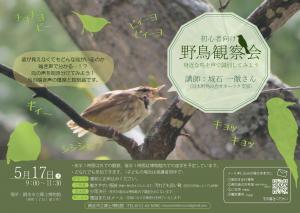 野鳥観察会のポスター画像